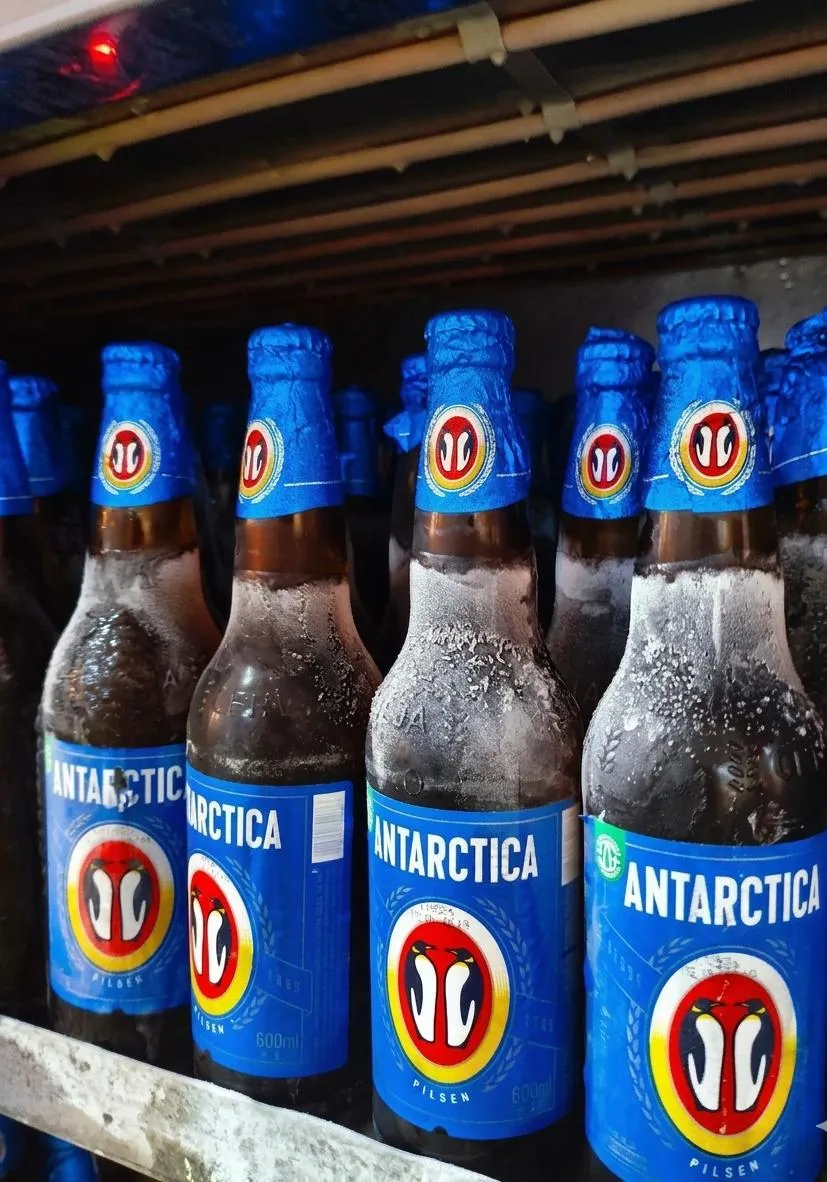Antarctica estupidamente gelada saindo do freezer